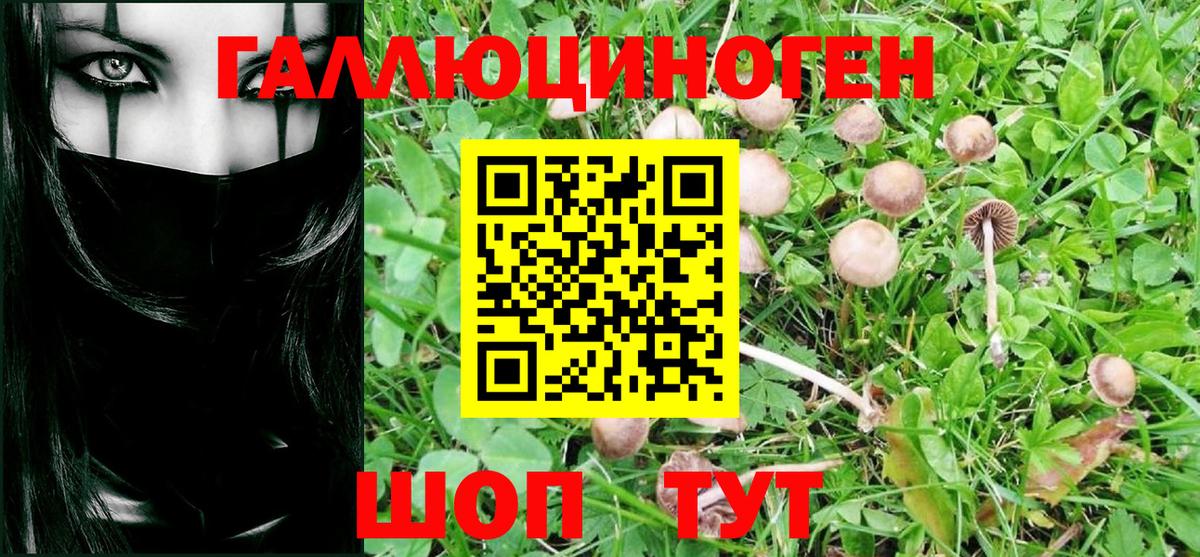 Галлюциногенные грибы Magic Shrooms  Вход с VPN  Надым 