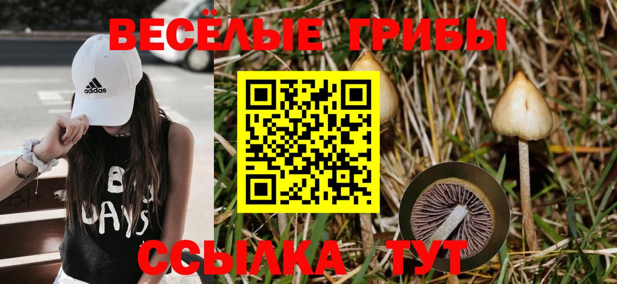 Галлюциногенные грибы GOLDEN TEACHER Надым